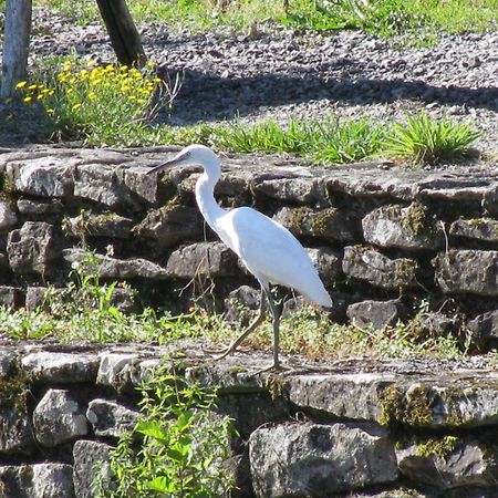 River Cottage Balledent Kültér fotó
