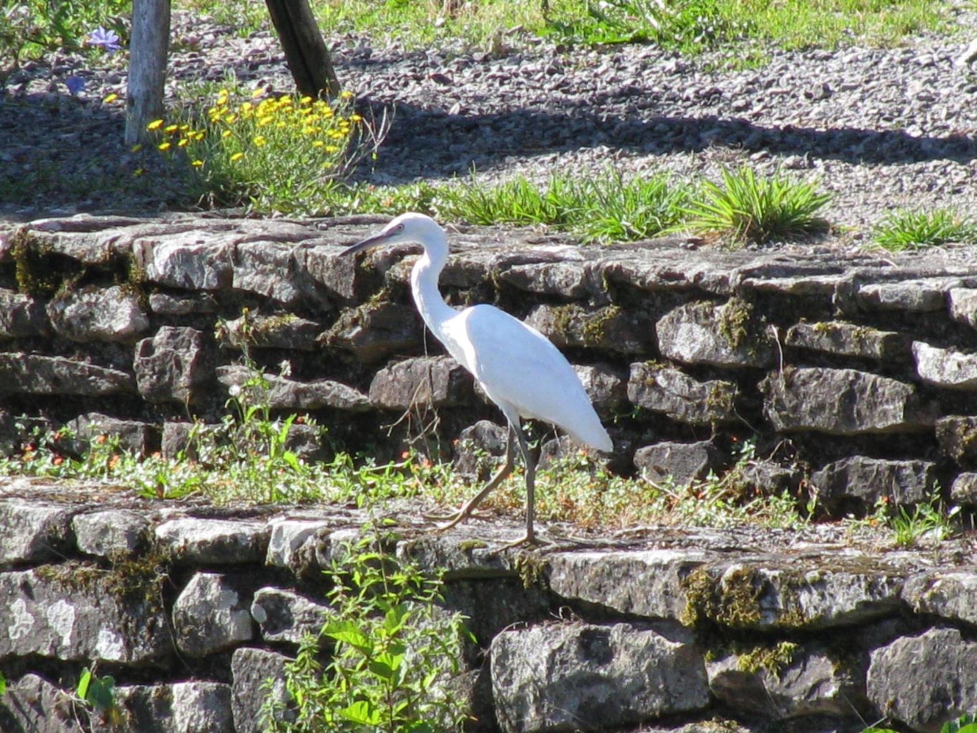 River Cottage Balledent Kültér fotó